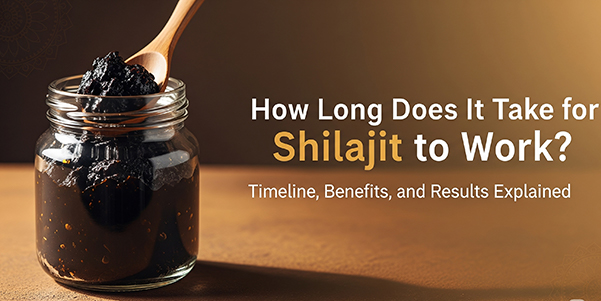 How Long Does It Take for Shilajit to Work