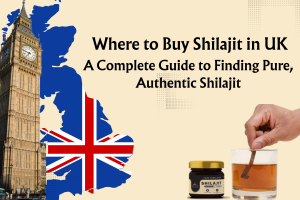 Where to Buy Shilajit A Complete Guide to Finding Pure, Authentic Shilajit