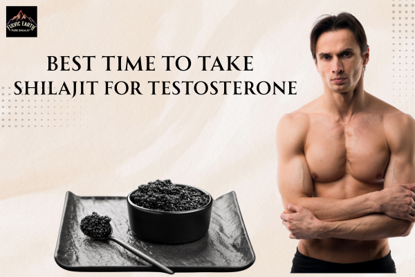 Best Time to Take Shilajit for Testosterone
