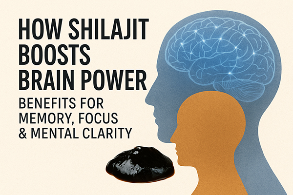 How Shilajit Boosts Brain Power Benefits