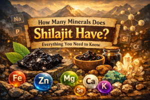 How Many Minerals Does Shilajit Have