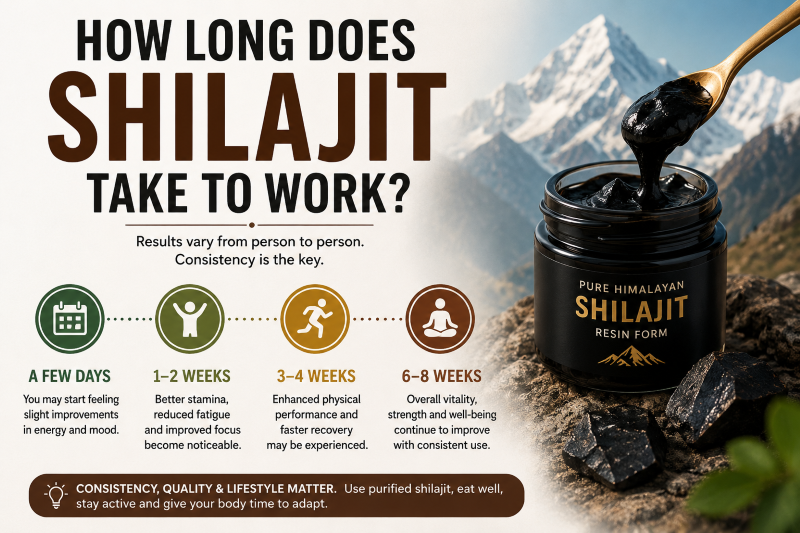 How long does Shilajit take to work