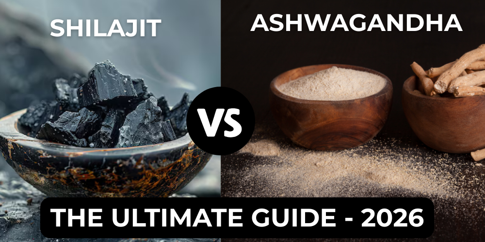 Shilajit vs. Ashwagandha: The Ultimate Guide 2026