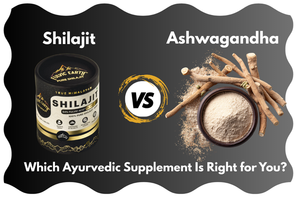 shilajit vs ashwagandha- which ayurvedic supplement is right for you
