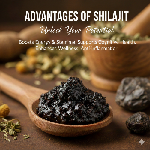 advantages of shilajit