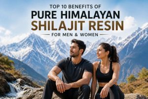 pure himalayan shilajit resin